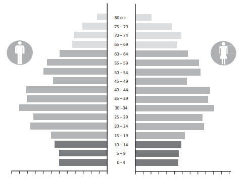 pirámide poblacional